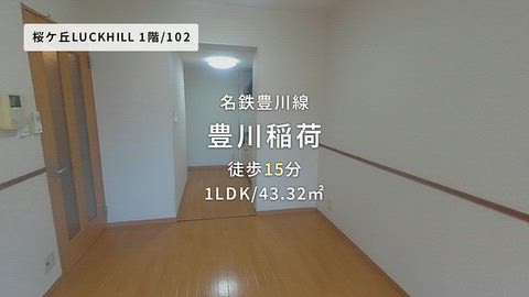 動画