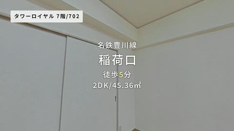 動画