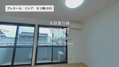 動画