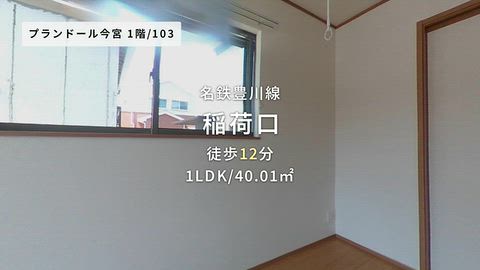 動画