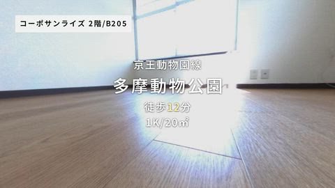 紹介ムービー