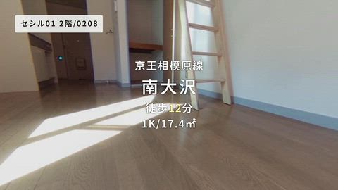 動画
