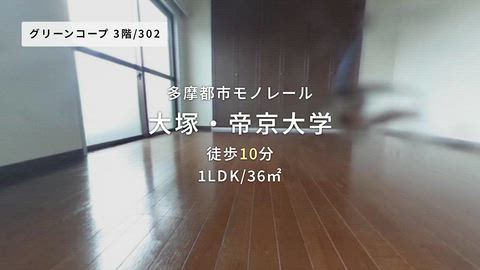 動画