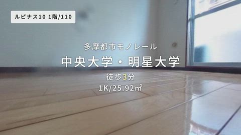 動画