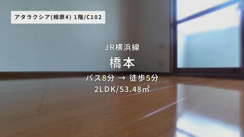 紹介ムービー