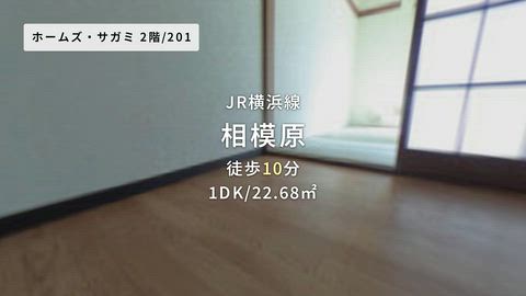 動画