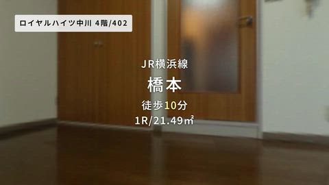 動画