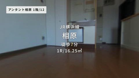 紹介ムービー