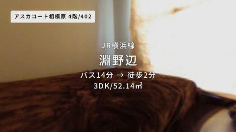 紹介ムービー