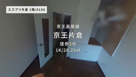 動画