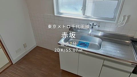 動画