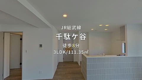 動画