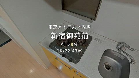 動画