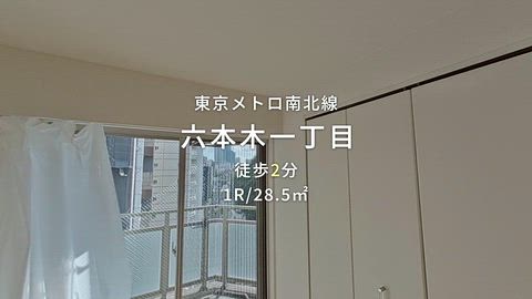 動画