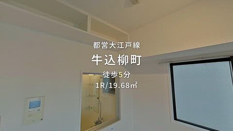 動画