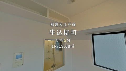 動画