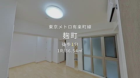 動画