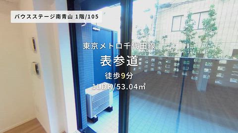 動画