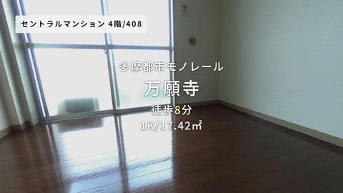 動画