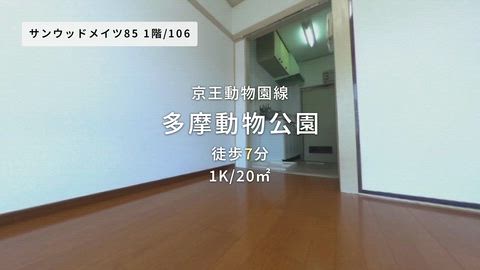 動画