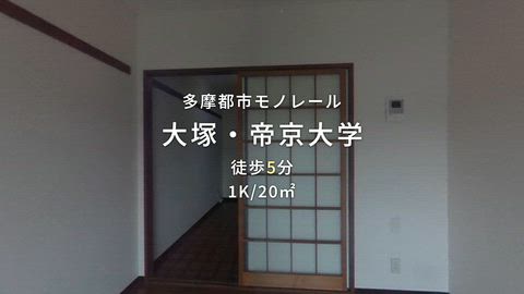 動画