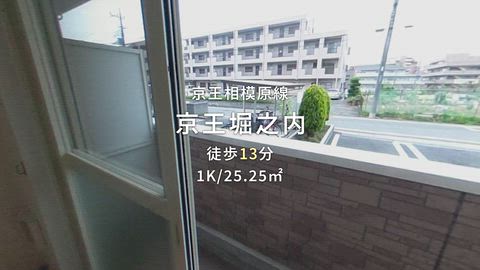 動画