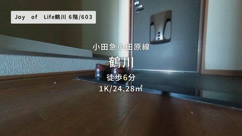 動画