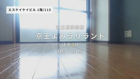 動画