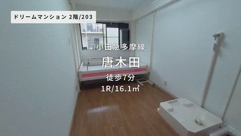 動画