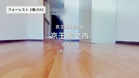 動画