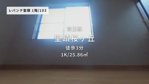 紹介ムービー