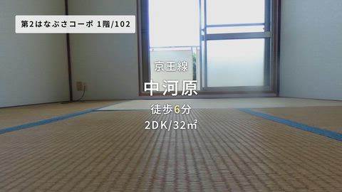 紹介ムービー
