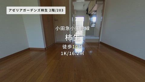 紹介ムービー