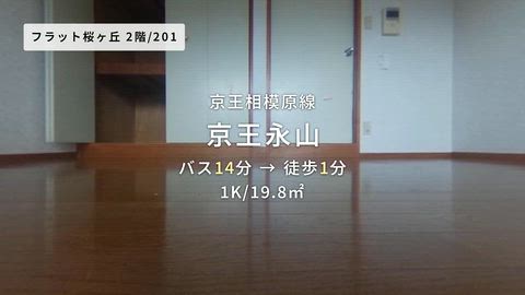 紹介ムービー