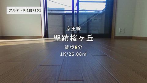 動画