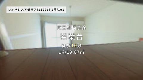 紹介ムービー