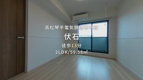 動画