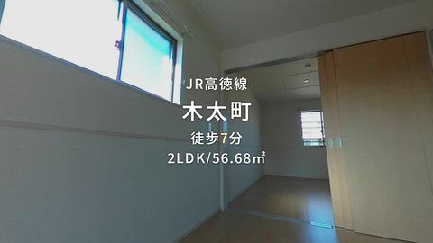 動画