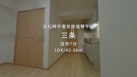 動画
