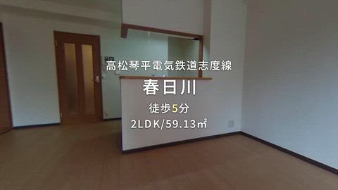 動画
