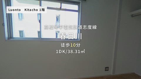 動画