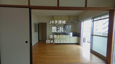 動画