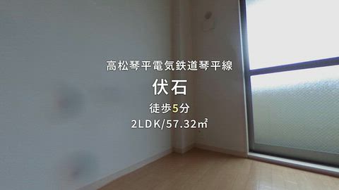 動画