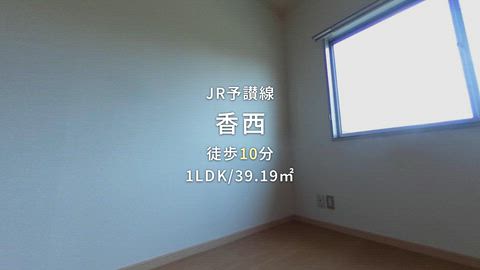 紹介ムービー