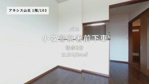 紹介ムービー