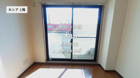 動画