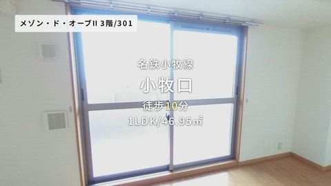 紹介ムービー