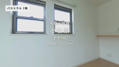動画