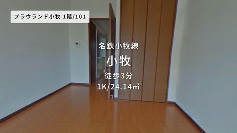 動画
