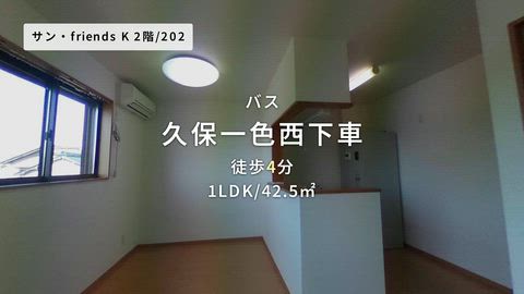 動画